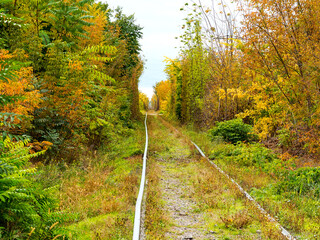 Railway and the autumn. Old overgrown abandoned bygone railway track, surrounded by blaze of fall colors.