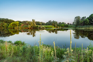 Obraz premium Big lake with clear water near summer forest.