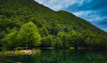 Fototapeta na wymiar árboles en lago de montaña