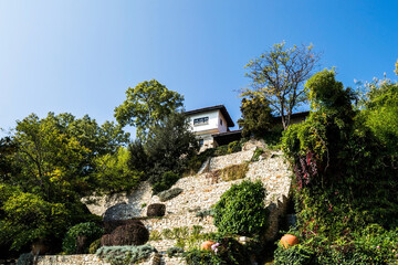 Fototapeta na wymiar Balchik Palace garden, Bulgaria.