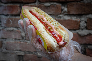 hot dog with mustard and ketchup