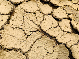The surface of dry land with many cracks. Ground surface peel off from hot temperature.