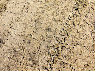 Traces of off-road tires. Cracked earth on country road with traces of tires, cars, cracks and dirt. To use as background.