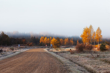 Obraz na płótnie Canvas A small village dirt road during an early autumn morning with beautiful fall colors and fog in Estonian countryside, Northern Europe. 