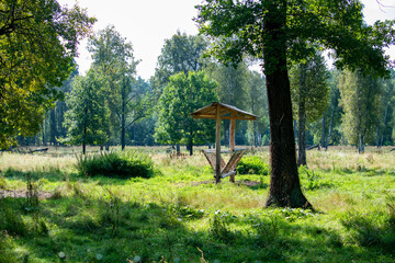 wooden feeder for bison in the forest in the meadow