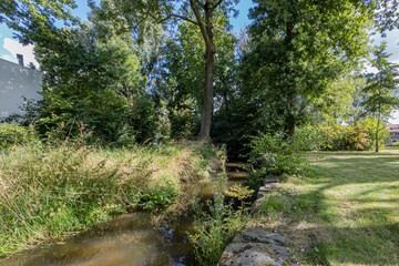 Keutelbeek stream next to city park with sunlight reflected in water among lush trees, wild plants...