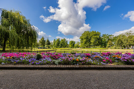 Explosion of color with pink, purple, yellow and white flowers on the explanda in front of the fishing pond surrounded by trees in the city park, sunny day in Sittard, South Limburg, Netherlands