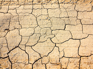 texture of dried cracked surface layer of the earth