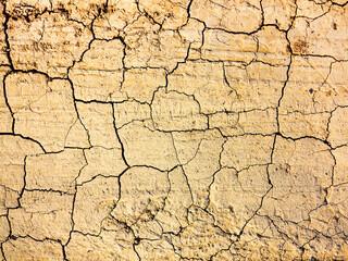 texture of dried cracked surface layer of the earth