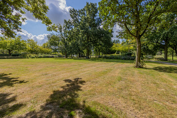 Fototapeta na wymiar Field with yellow-green semi-dry grass in the city park with bush, green vegetation and lush trees next to a path, sunny summer day with a blue sky in Sittard, South Limburg, Netherlands