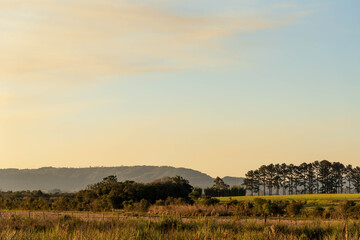 Obraz premium Rural landscape in farm areas in southern Brazil