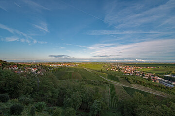 Naklejka premium Der Pfälzerwald bei Neuleiningen in Rheinland-Pfalz, Deutschland 