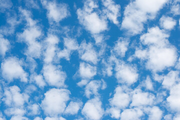 Obraz premium blue sky with white cloud beautifulD