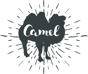 Camel silhouette with hand written camel word inside, isolated on white, vector illustration