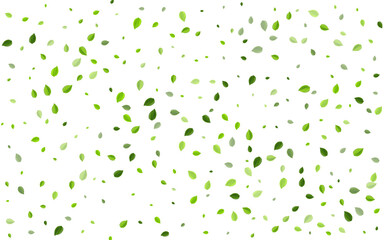 Swamp Leaf Motion Vector Border. Flying Leaves 