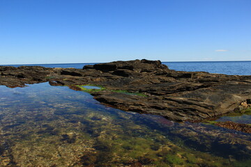 Obraz premium Tidal Pool 