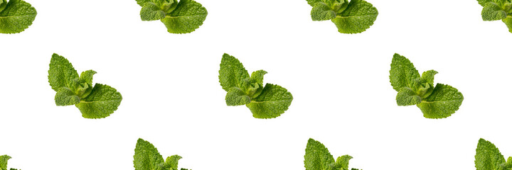 Fototapeta na wymiar Seamless Pattern with mint leaves isolated on white background.