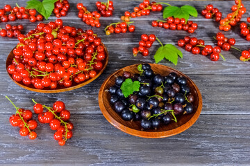 fresh ripe red and black currant berries in wooden plates. red and black currant close-up. background with red and black currants.