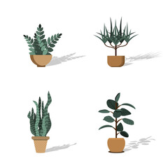 Set of vector house indoor plants, potted plants collection on white background.