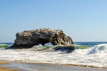 Natural Bridges State Beach, Santa Cruz