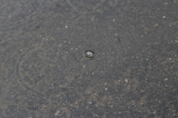 flaque d'eau : pluie