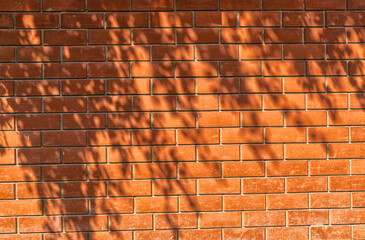 The texture of a sunlit red brick wall with the shadow of tree.