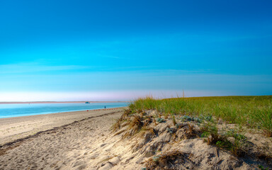 Tranquil Seascape with Clear Blue Sky over Eroded Beach with Grassy Meadow on Cape Cod