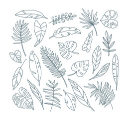 Vector illustration of tropical leaves and flowers set. Line art.