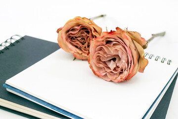 Red rose lies on an open English notebook