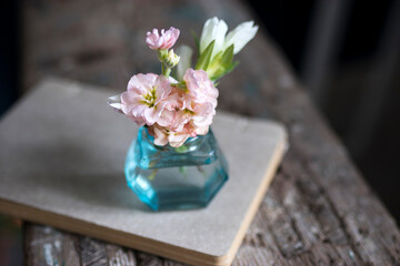 Autumn bouquet of Gentiana lutea and Matthiola in a small glass vase on a textured wooden surface