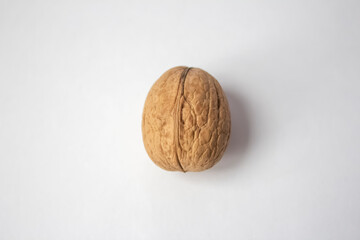One walnut on a white background