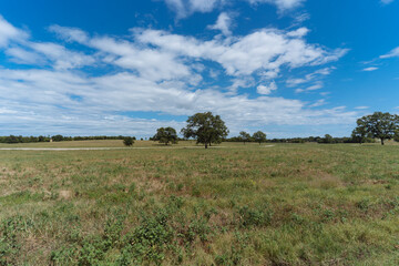 Obraz premium Texas City Park on a sunny August day.