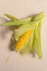 fresh sweet corn on white background