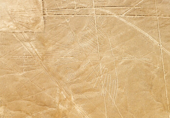 The Condor geoglyph figure in the peruvian coastal desert known as the mysterious Nazca Lines, Nazca Desert, Peru.