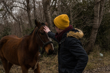 young man stroking a horse, happy horse and man ,animal food drive, pet health, vet pet shop 