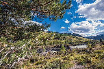 Mountain landscape with river Katun. Altai Republic