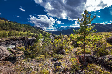 Mountain landscape with river Katun. Altai Republic