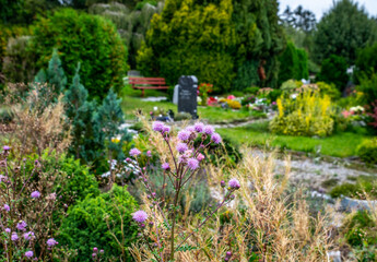Blick über einen Friedhof
