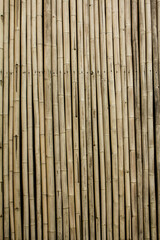Beautiful brown bamboo fence or wall background or wooden texture for decoration