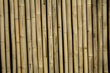 Brown bamboo fence or wall background or wooden texture