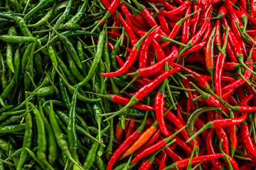 Red and green hot chili peppers