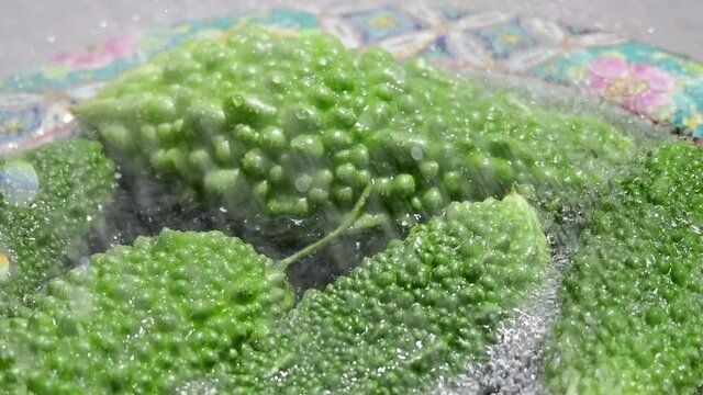勢いよく井戸水のシャワーを浴びる採れたて野菜。野菜たちは生き物のようです。