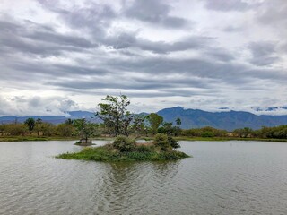 the river in the forest