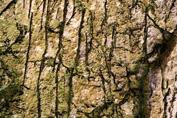 old weathered moss on boulder texture - beautiful abstract photo background