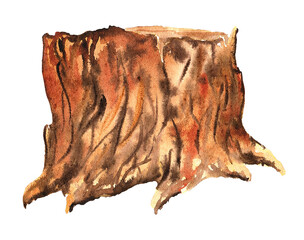 illustration of an Old stump red brown hand-painted with watercolors isolated on white background