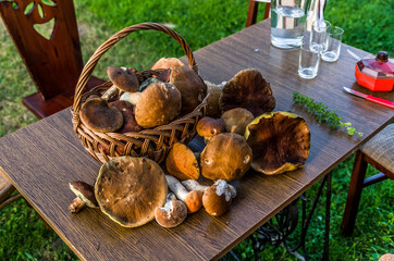 Wild mashrooms in the basket