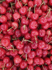 red cherries background