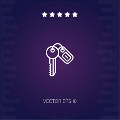 room key   vector icon modern illustration