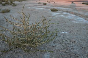 dry bottom of the reservoir. soil erosion. the water's gone. the bottom of the lake. a desert...