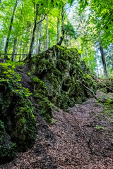 Fototapeta premium Snake valley, Kremnica hills, Slovakia, seasonal natural scene
